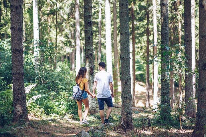 Forest Walk | Chiropractors | Bellingham | Vancouver | Ferndale | Everett | Mount Vernon | Anacortes | Lynden | Natural Way Chiropractic